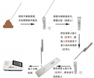 犬冠状病毒抗原定量检测试剂盒(稀土纳米晶荧光免疫层析法)(CCV Ag)