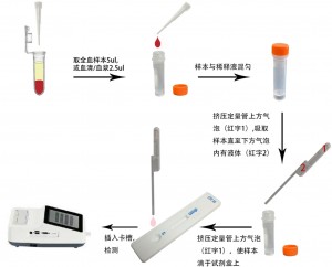 犬瘟病毒抗体定量检测试剂盒(稀土纳米晶荧光免疫层析法)(CDV Ab)