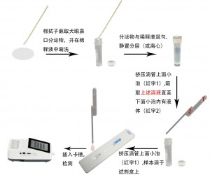 犬瘟病毒抗原定量检测试剂盒(稀土纳米晶荧光免疫层析法)(CDV Ag)