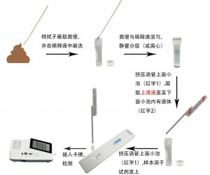 犬细小病毒/犬冠状病毒抗原定量检测试剂盒(稀土纳米晶荧光免疫层析法)(CPV/CCV Ag)