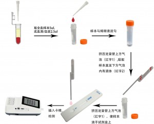犬细小病毒抗体定量检测试剂盒(稀土纳米晶荧光免疫层析法)(CPV Ab)