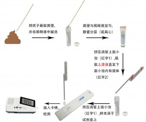 犬细小病毒抗原定量检测试剂盒(稀土纳米晶荧光免疫层析法)(CPV Ag)