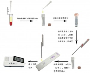 猫杯状病毒抗体定量检测试剂盒(稀土纳米晶荧光免疫层析法)(FCV Ab)