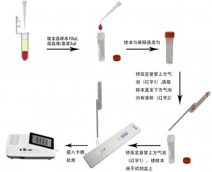 猫瘟病毒抗体定量检测试剂盒(稀土纳米晶荧光免疫层析法)(FPV Ab)