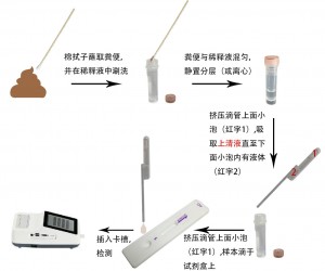猫瘟病毒抗原定量检测试剂盒(稀土纳米晶荧光免疫层析法)(FPV Ag)