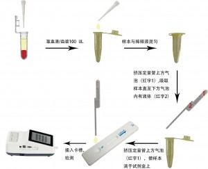 犬N端前脑利钠肽定量检测试剂盒(稀土纳米晶荧光免疫层析法)(cNT-proBNP)