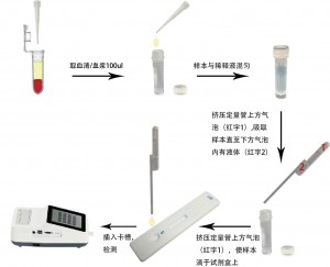 犬促甲状腺激素定量检测试剂盒(稀土纳米晶荧光免疫层析法)(cTSH)
