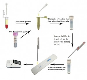 犬总甲状腺素定量检测试剂盒(稀土纳米晶荧光免疫层析法)(cTT4)