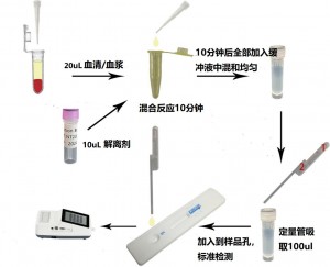 猫总甲状腺素定量检测试剂盒(稀土纳米晶荧光免疫层析法)(fTT4)